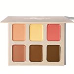 پالت کانتور چرب شیگلم Stereo Face Six-French Girl